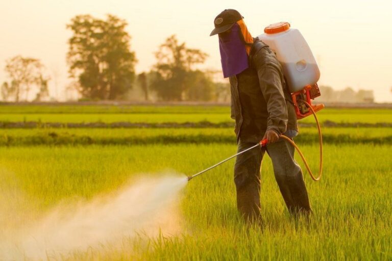 Безопасное обращение с пестицидами
